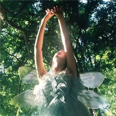 闻香寻爱